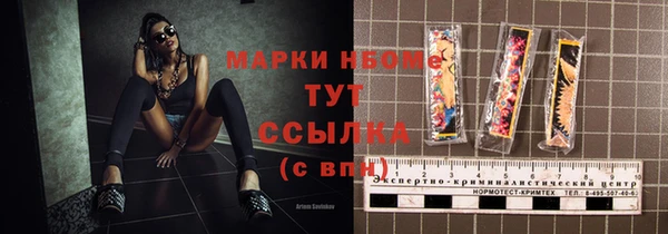 стаф Аркадак