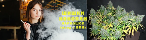 стаф Аркадак