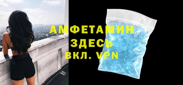 стаф Аркадак