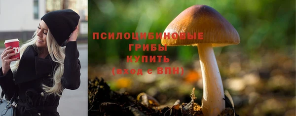 стаф Аркадак