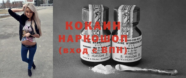 стаф Аркадак