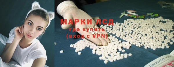стаф Аркадак